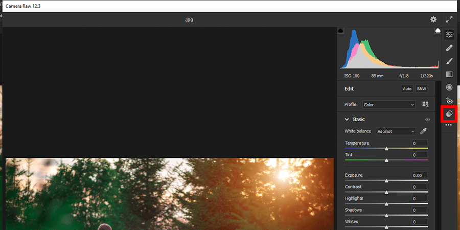 How to install presets in ACR for 21+ The Luxe Lens