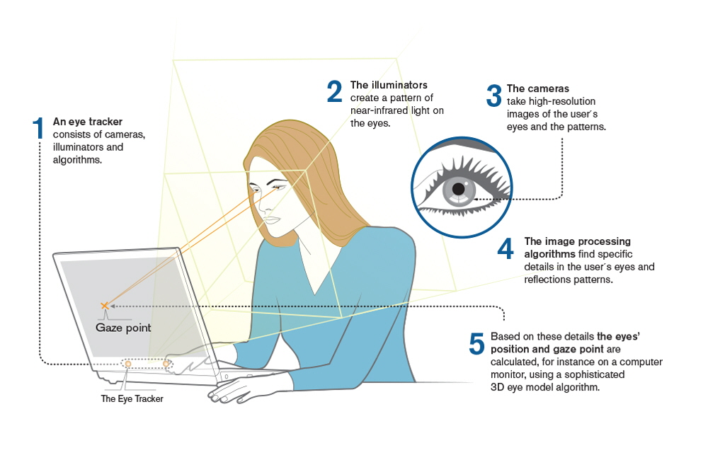 How does the calibration work? Tobii Help Center