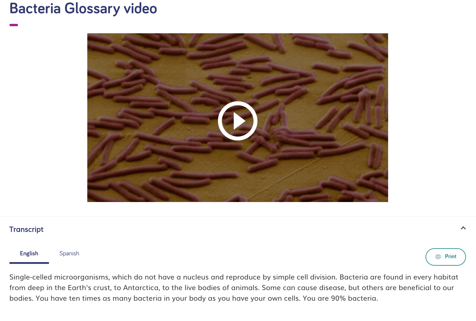 How do I use the Grade 6 Science Glossary? Twig Science