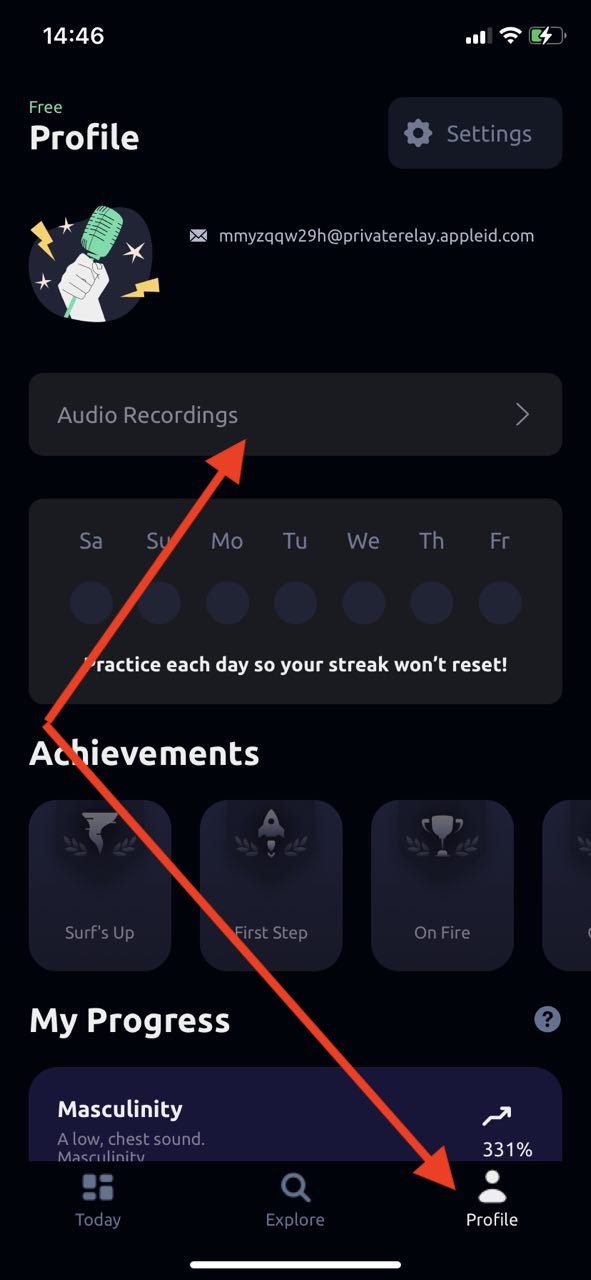 How can I delete my voice recordings? Vocal Image