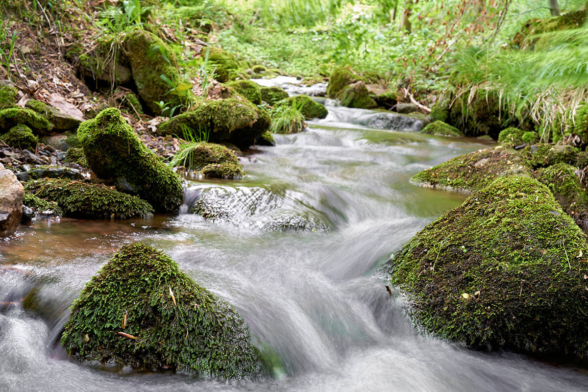 The Brook in the Way Help4Today