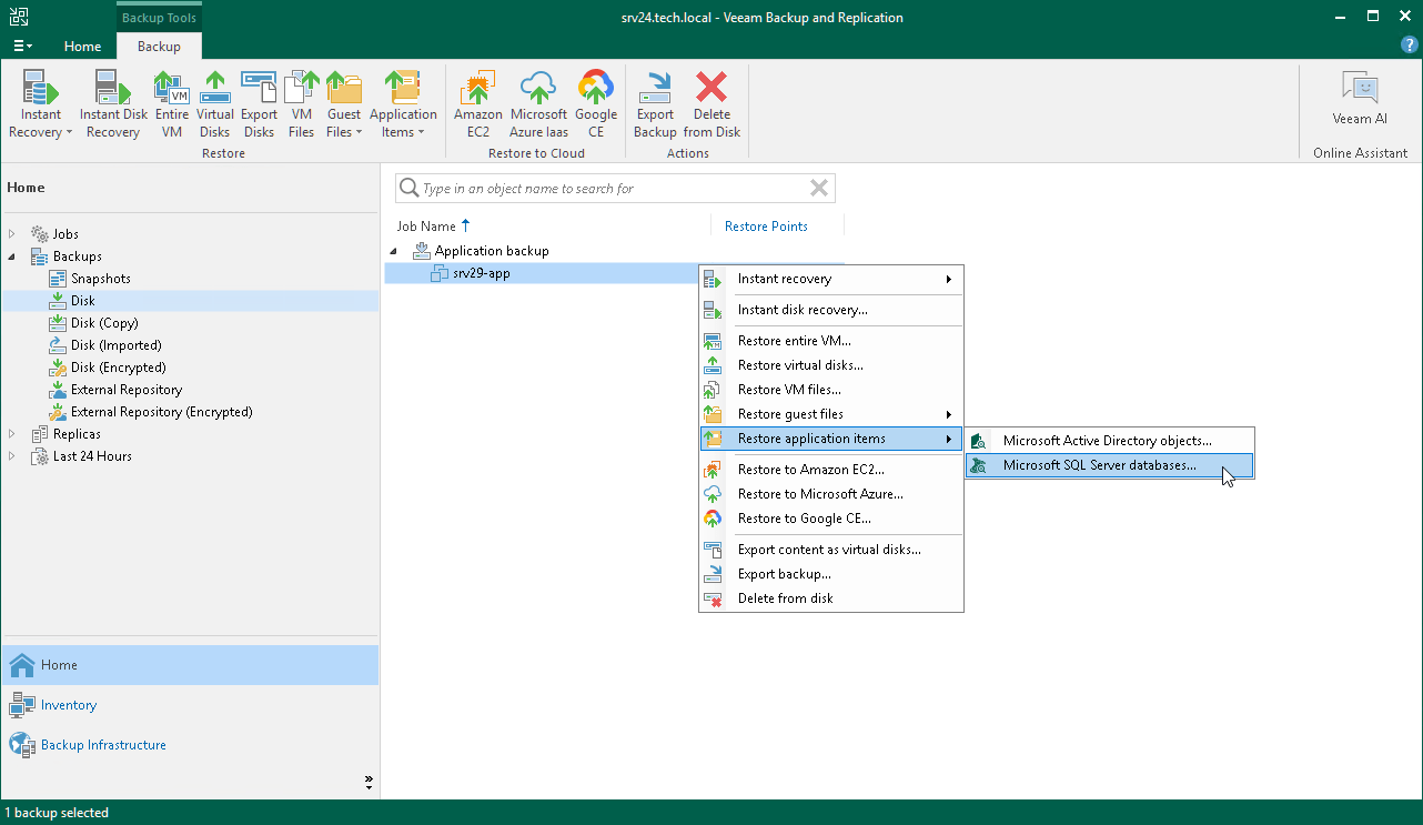Restoring Microsoft SQL Server Items User Guide for Microsoft HyperV