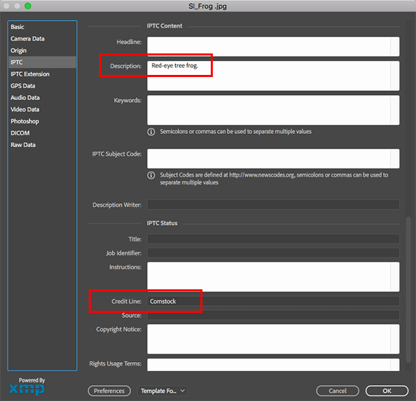 Placing images with caption and credit information using Smart Image in