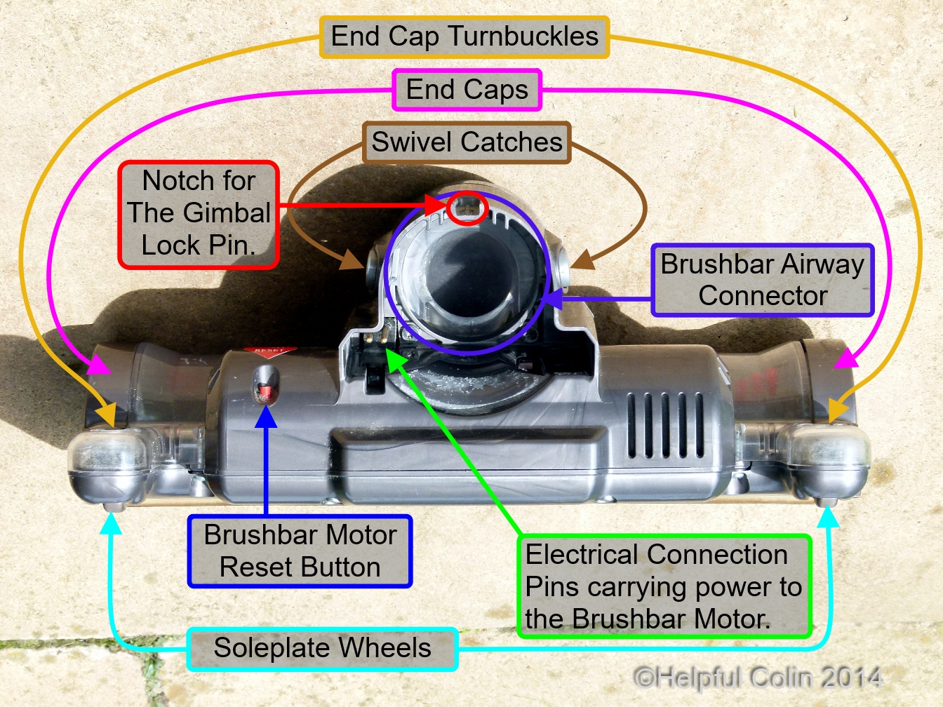 Cleaner Head Rear View
