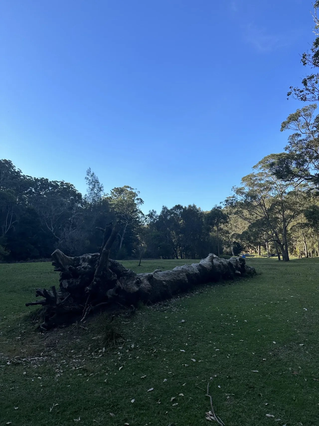 Fig Tree Flat Picnic Area Beautiful Location At The End of Lady