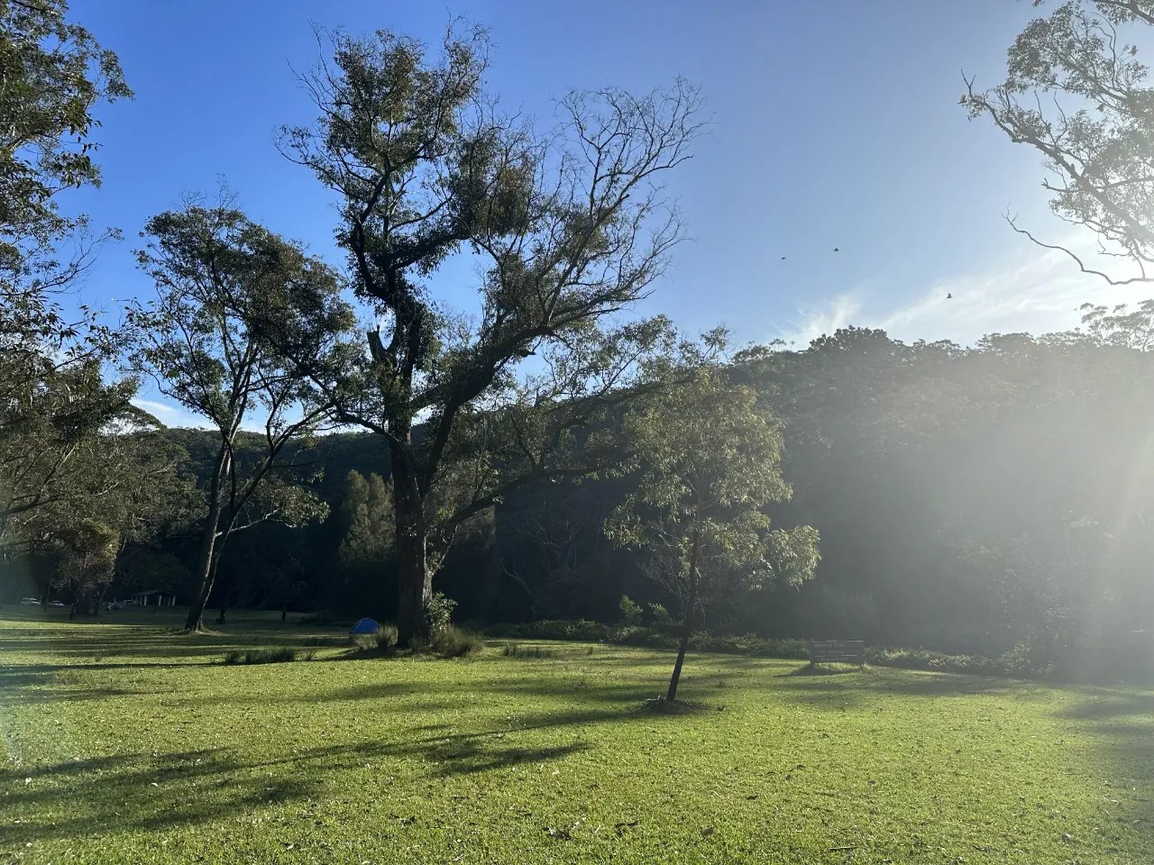 Willow Tree Flat Picnic Area Quiet Spot Right Near Audley
