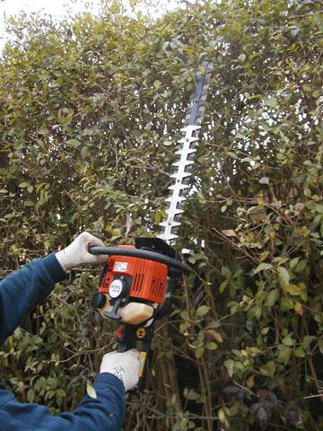 HEDGETRIMMER 20" PETROL - Helpful Hirings