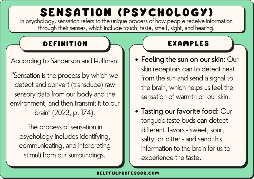 18 Sensation Examples (Psychology) (2025)