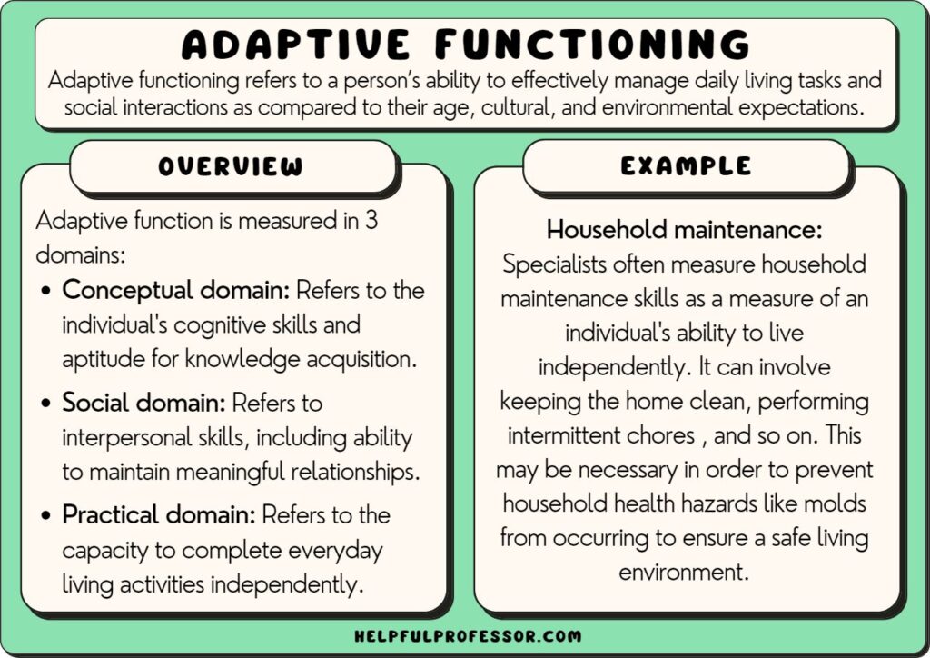 Adaptive Functioning Definition and Examples (2024)