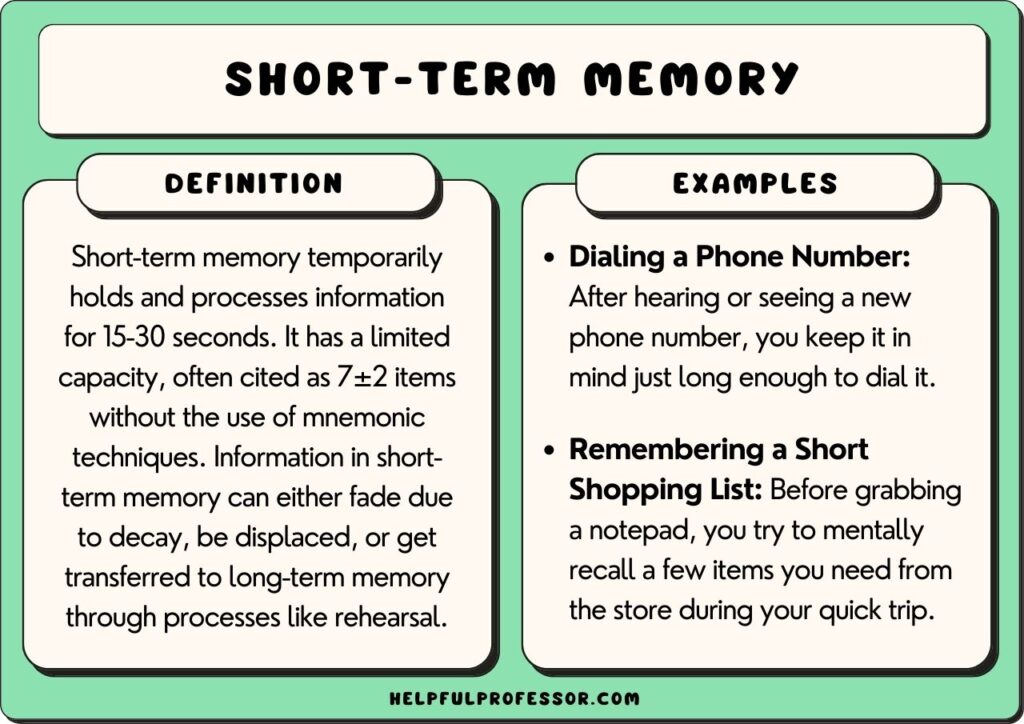 25 ShortTerm Memory Examples (2024)