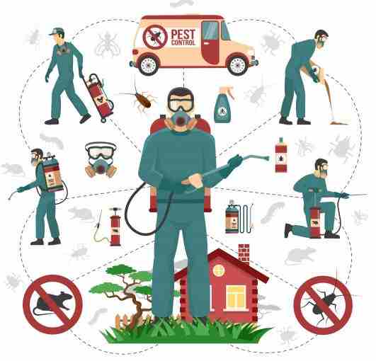 PEST CONTROL KYA HAI Help Hindi Me