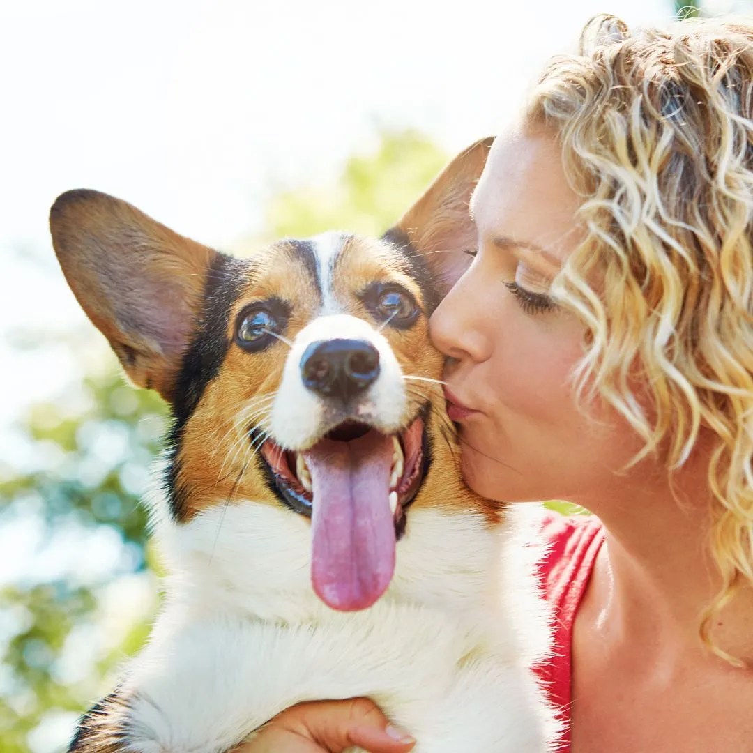 Heart Health Supplements for Dogs Helping Pets Live Longer