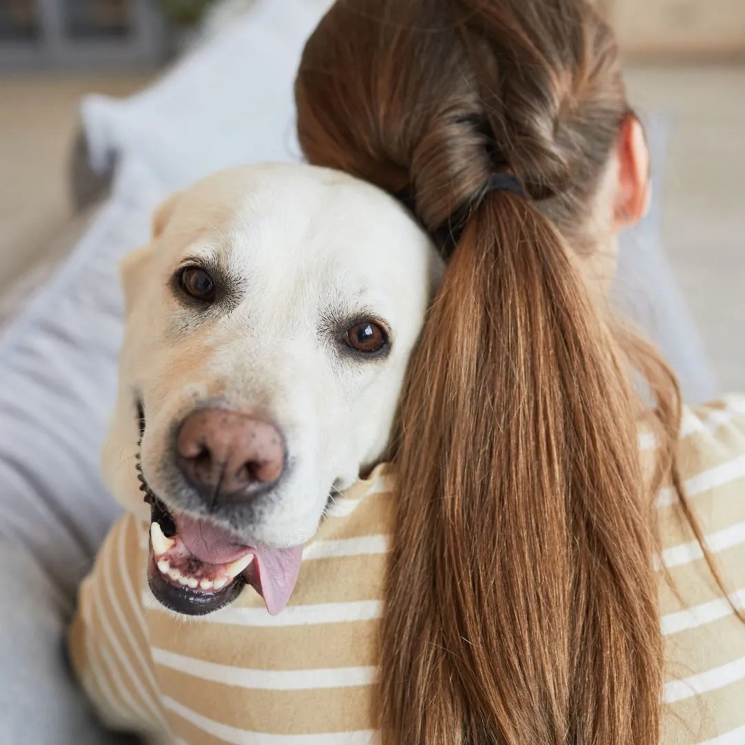 Joint Pain Relief for Dogs Helping Pets Live Longer