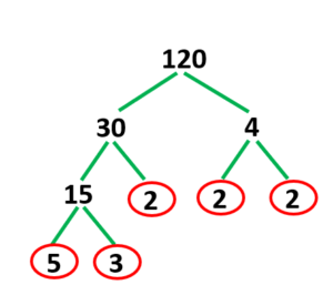 Factor Tree Method | Definition, What?, How to build?, Examples