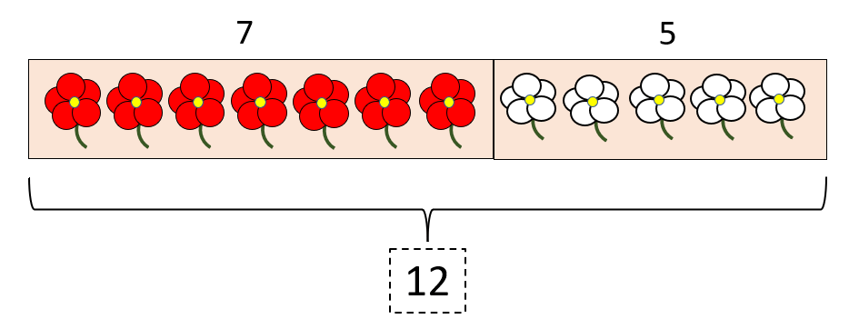 Tape Diagrams | Definition, Examples, Steps, How They Work?