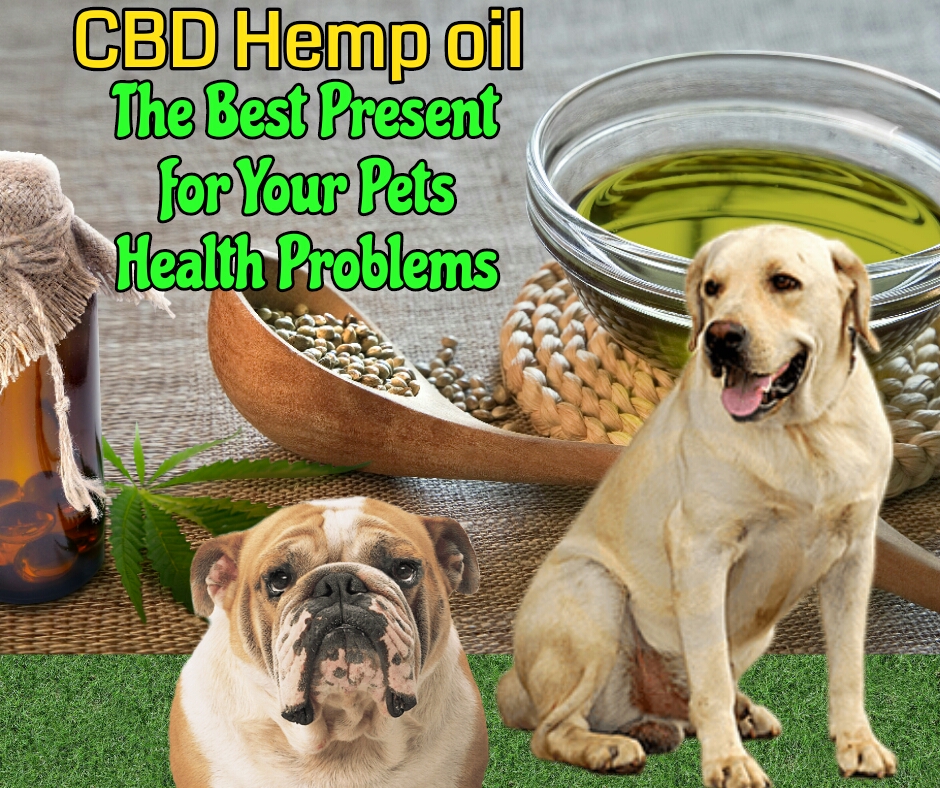 Hemp CBD oil for Dogs