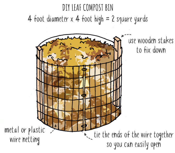 Storing Leaves for Compost (The Best Way to Store Dry Leaves)