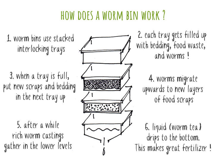 How To Make Compost From Kitchen Waste (The Easy Way) Help Me Compost