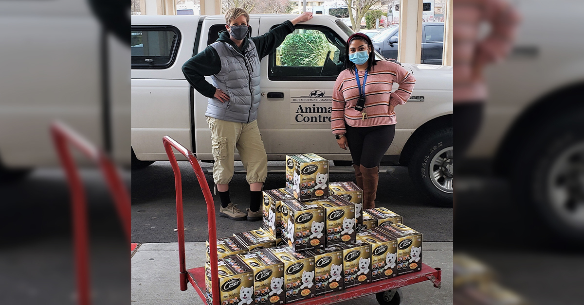 Turning Crashes into Pet Food Help Pet Shelters