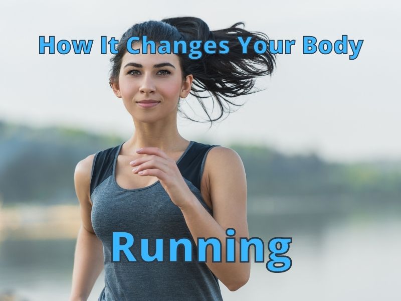 How Running Changes Your Body Help Shoe