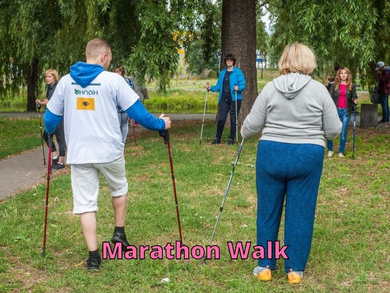 Can Training Shoes Be Used for Walking? Help Shoe