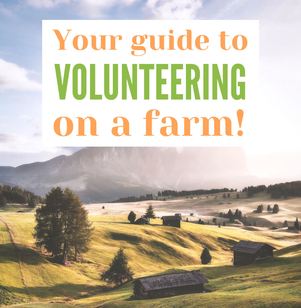 Volunteering on a Farm HelpStay Journal