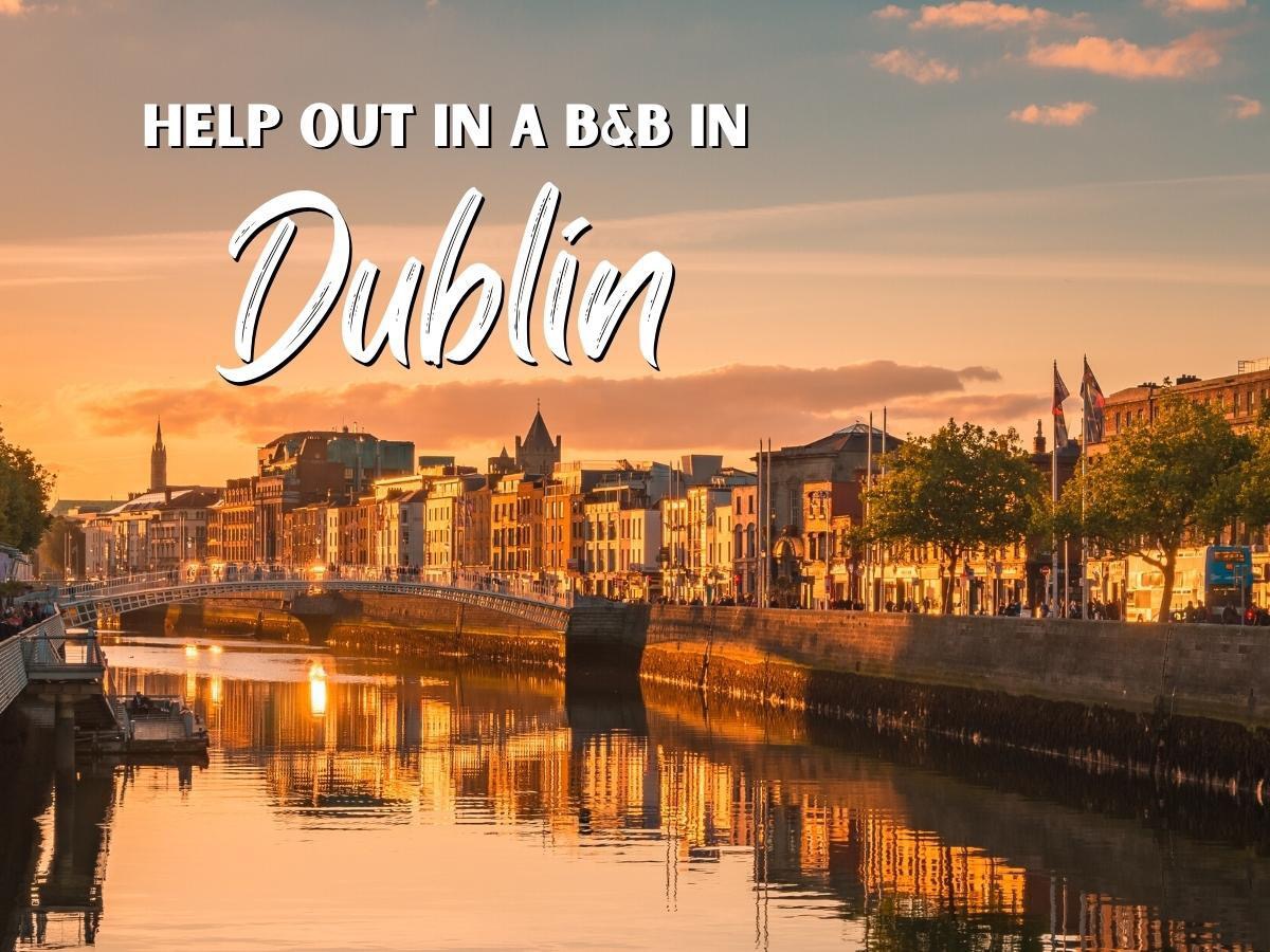 Stay for free in Ireland 5 Amazing places to volunteer