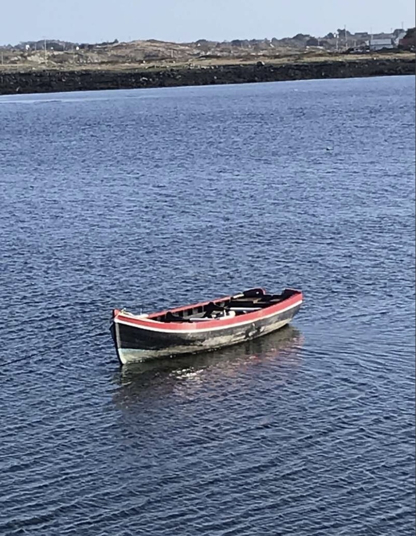 Help us with Masonry, Painting, Gardening and Carpentry in Galway,