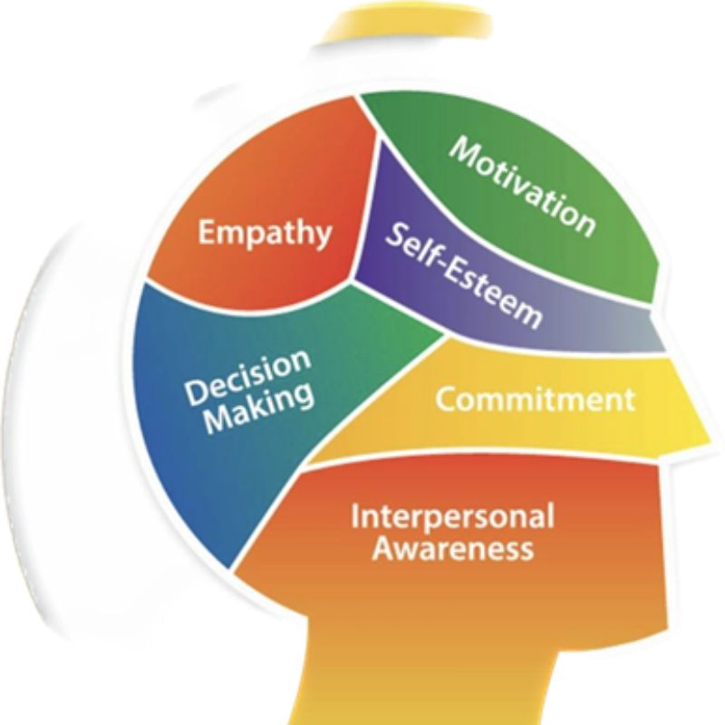 Social Emotional Learning Help To Adjust