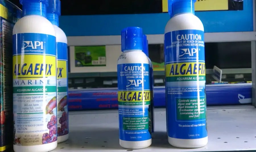 Does Algaefix Kill Black Beard Algae in an Aquarium?