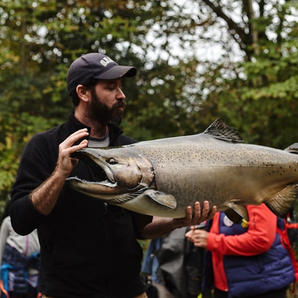 The Salmon Festival at Highland Creek Help! We've Got Kids