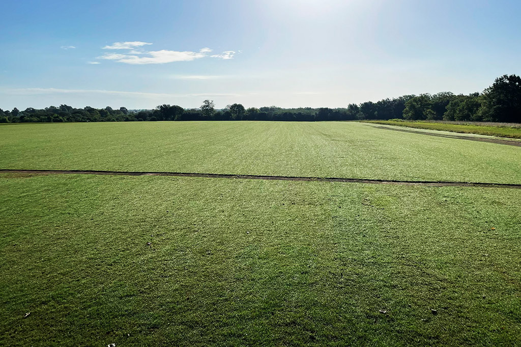Sports and Golf Course Turf Grass Helts Turf Farm