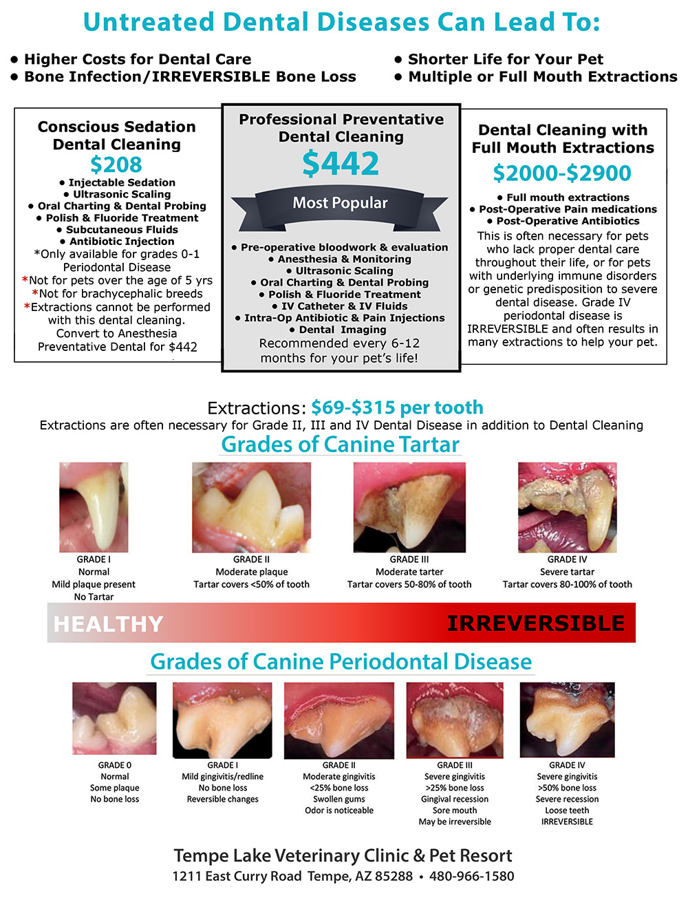 Are Dog Dentals Necessary