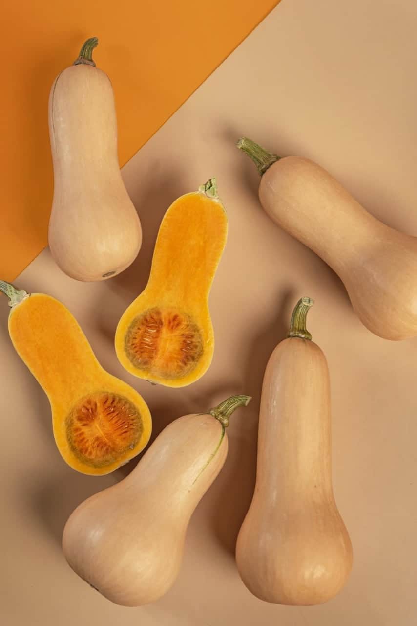 13 Verschillende Soorten Pompoenen – Hemels Thuis