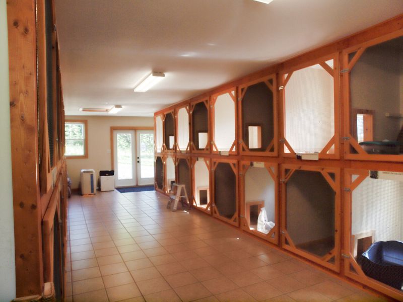 cat kennel,cat boarding,Nova Scotia,New Brunswick,Prince Edward Island