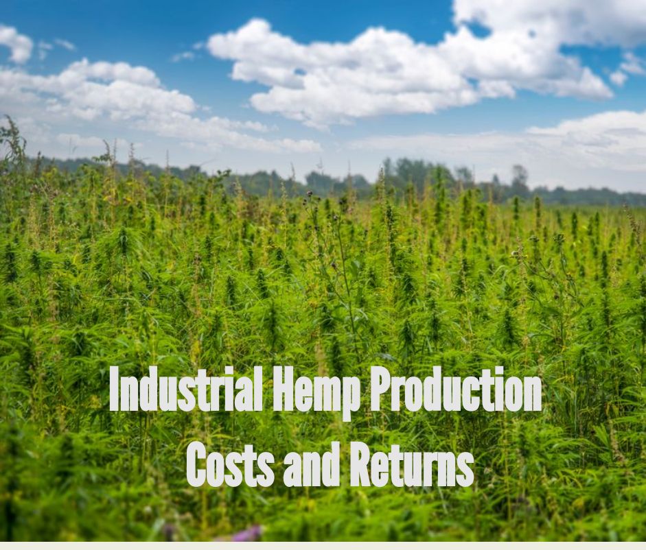 How Much Does it Cost to Grow Hemp? Business Plan Templates
