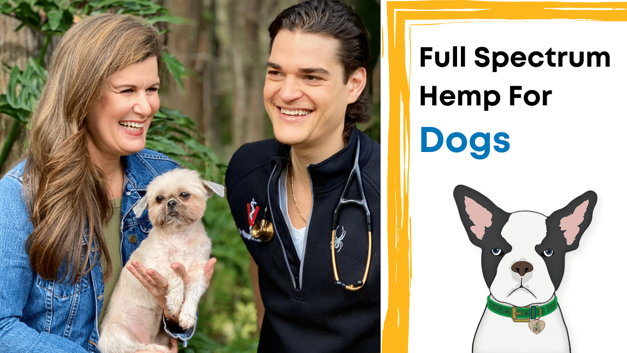 Hemp For Dogs Hemp Dog Health