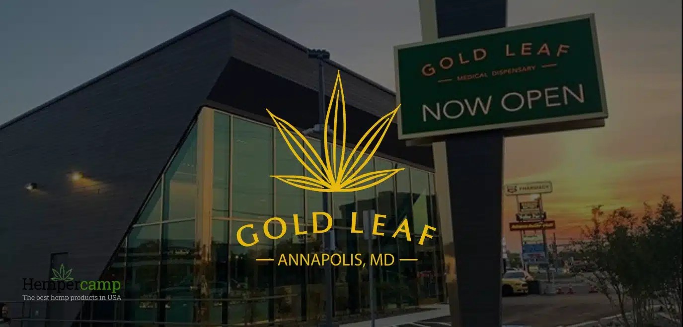 Gold Leaf Cannabis Dispensary, Maryland Hempercamp