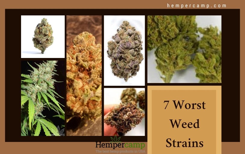 Weed Strains 7 Worst Weed of all Time Hempercamp
