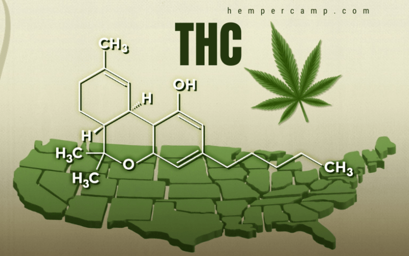 Exploring the Potential of Types of THC Hempercamp