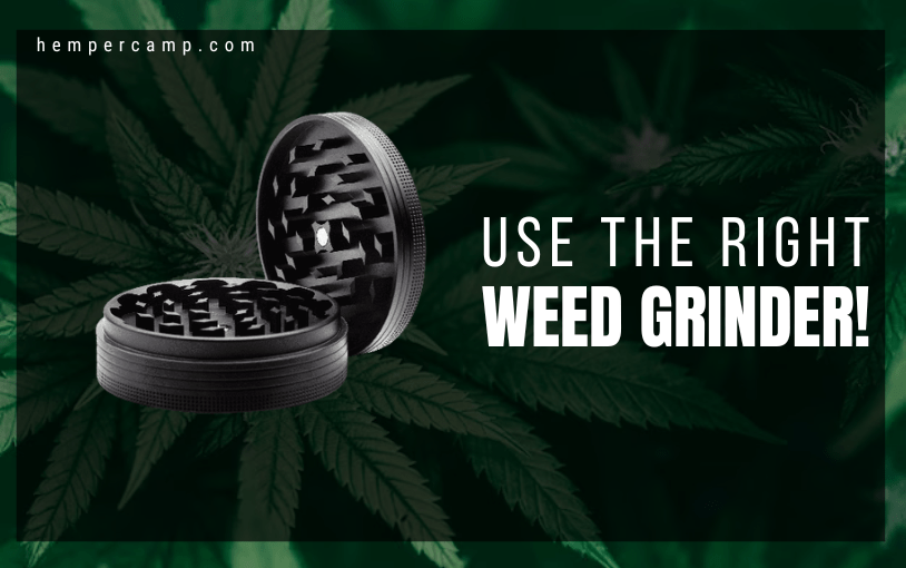 How To Use Right Weed Grinder A Complete Guide Hempercamp