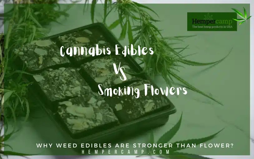 Why Weed Edibles Are Stronger Than Smoking Flower?