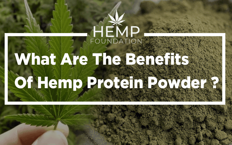 What Are The Benefits Of Hemp Protein Powder? Hemp Foundation