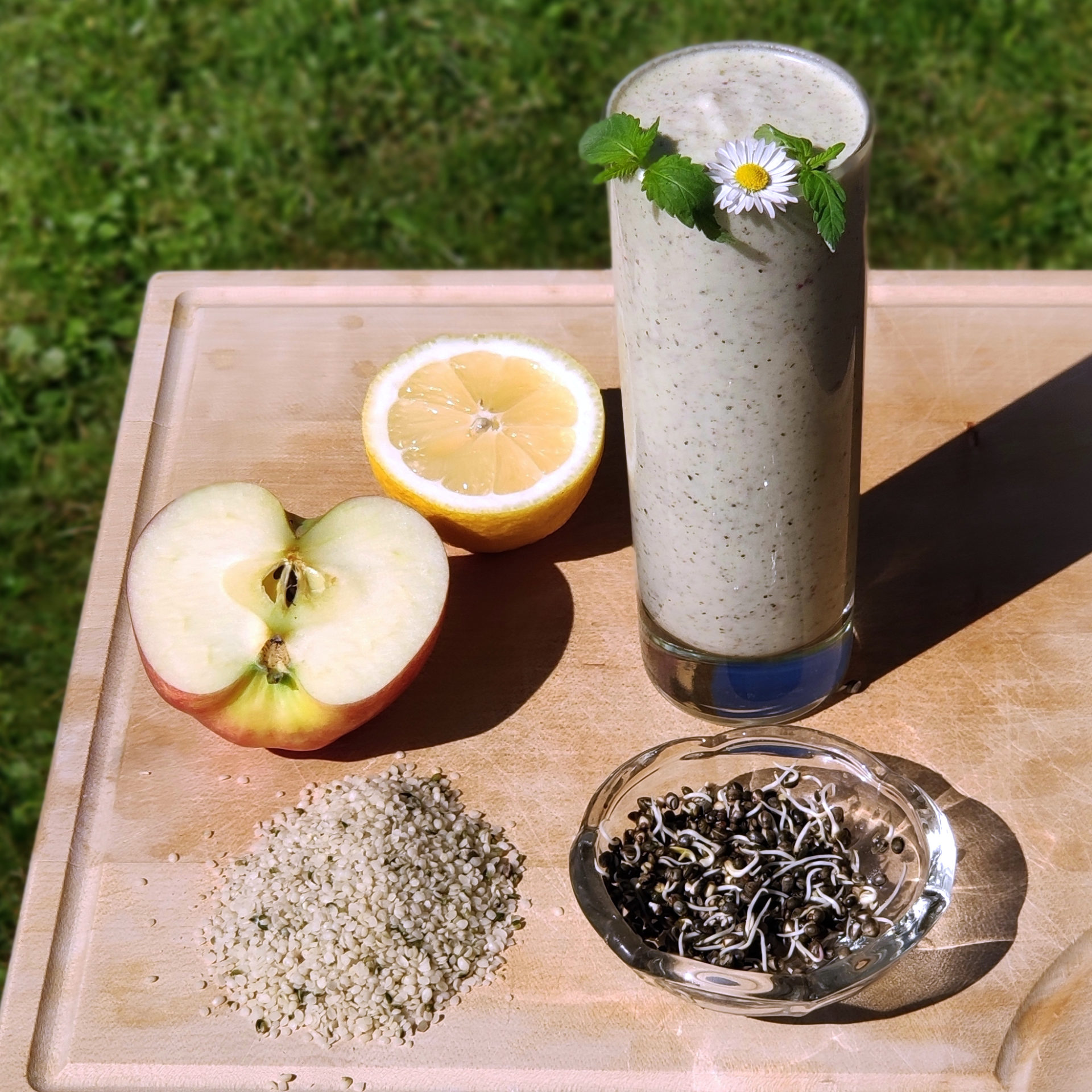 Hanf Lubrikator Smoothie Rezept der ImmunBooster Hempions für