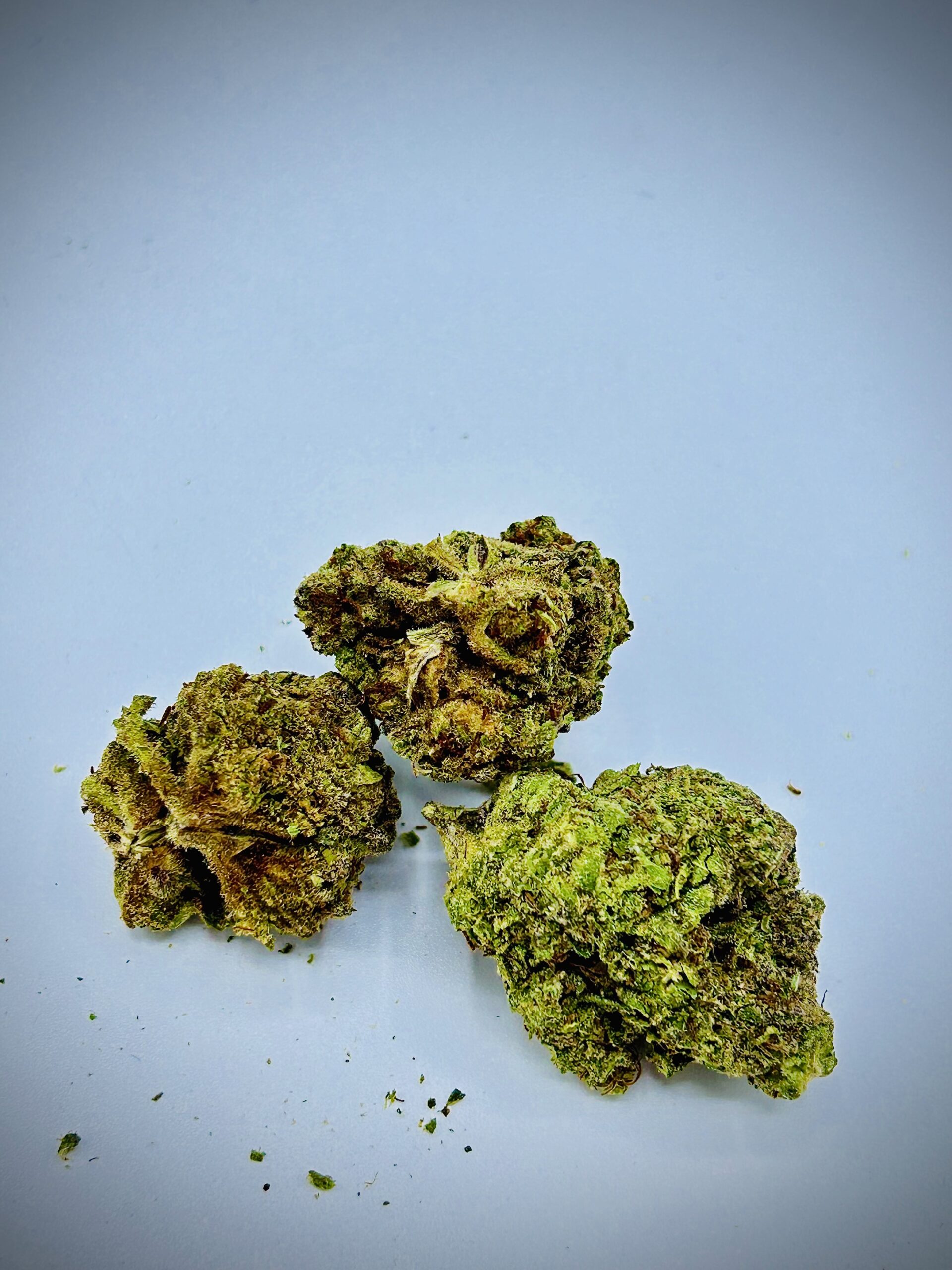 Orange Creamsicle THCA Potent Hemp Flower Sativa Hybrid Hempology Life