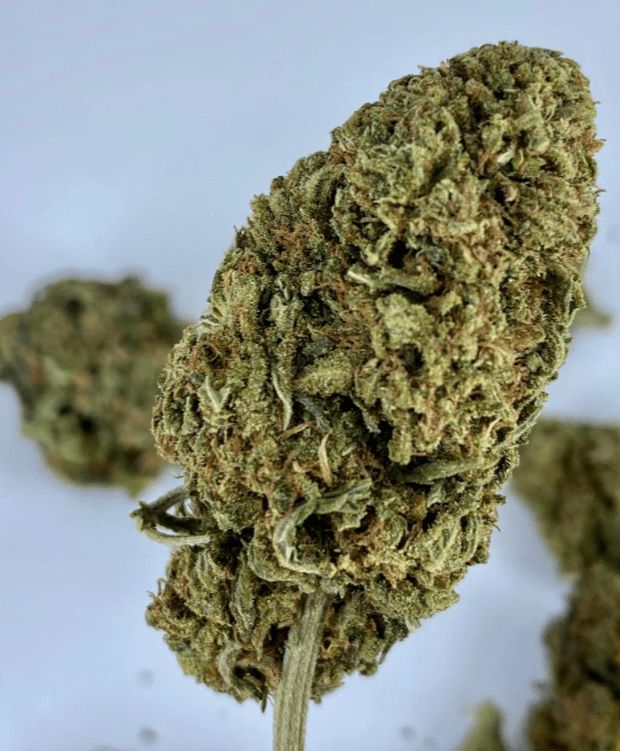 Best Hemp Flower Strains for Diverticulitis Explained and Where To Buy