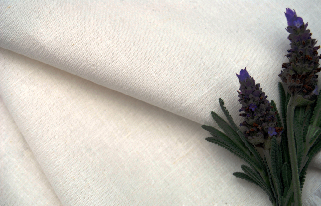 Hemp Organic Cotton Spandex Fabric Hemp Wholesale Australia