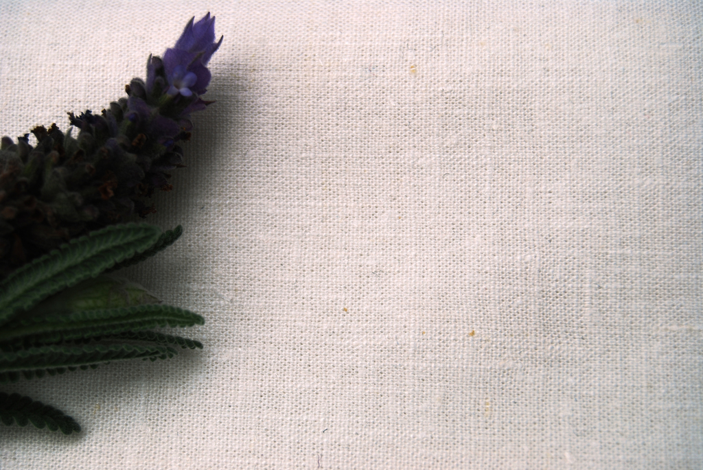 Hemp Organic Cotton Spandex Fabric Hemp Wholesale Australia