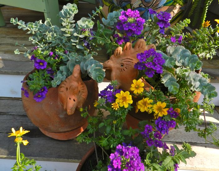 Chicken Planters and Chickens Planted HenCam