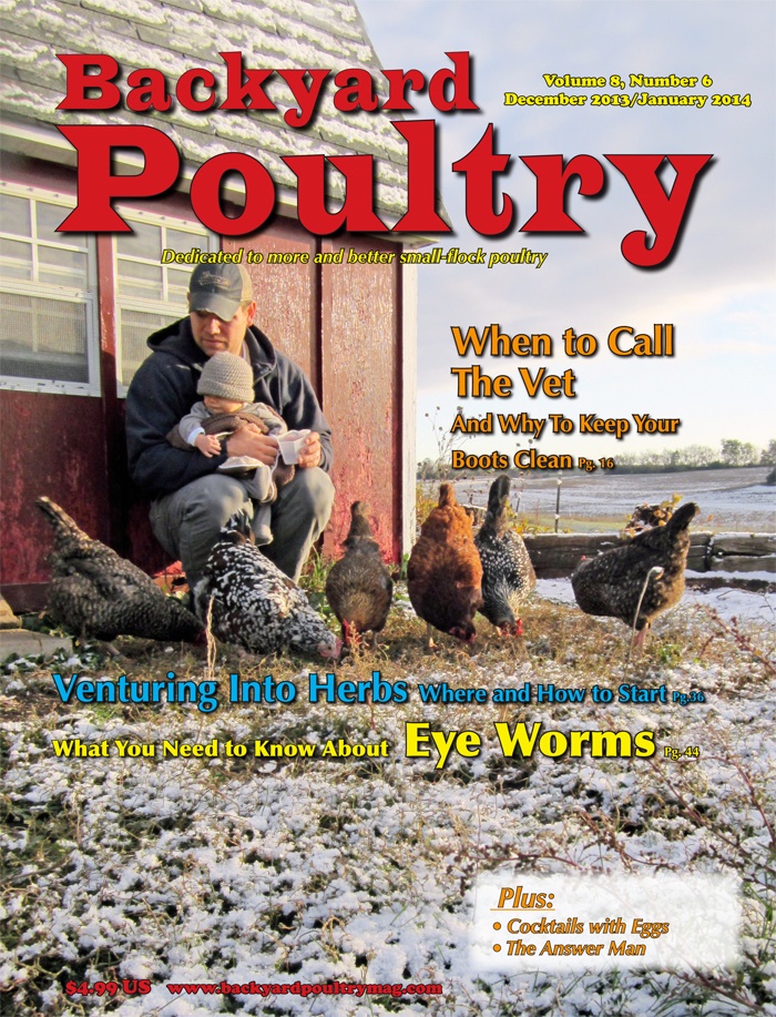 Backyard Poultry Magazine Giveaway HenCam